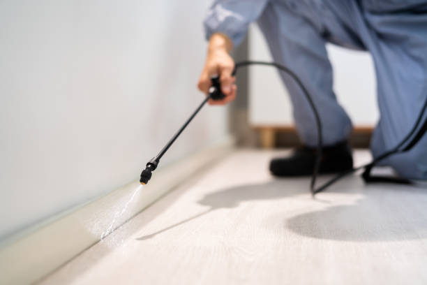 Licensed Pest Control service in Athens, WV - Show Me Pest Control